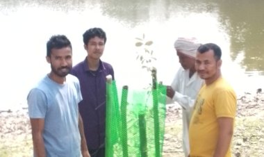 গছ পুলি ৰোপণ কাৰ্যসূচী